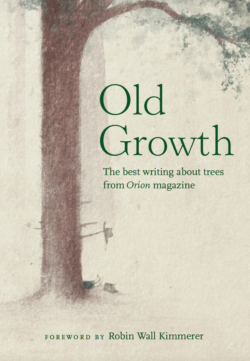 Celebrating Old Growth: A Conversation with Robin Wall Kimmerer, Robert Macfarlane, and David Haskell
