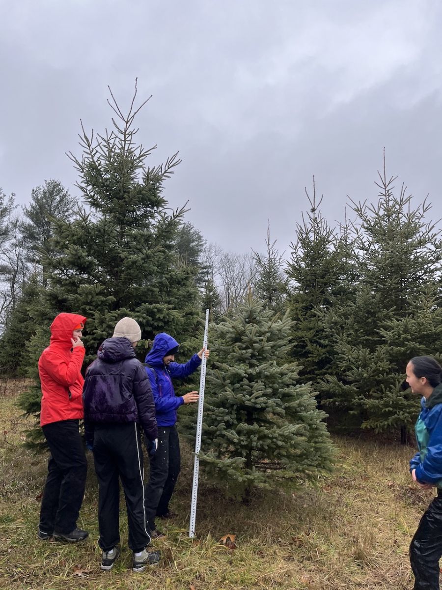 Yale Temperate Forestry Celebrates Community and the Holidays with