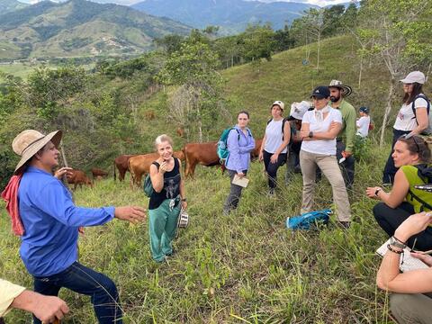 Certificate program participants learn about the techniques for restoration and management of silvopastoral systems during an optional field course in Colombia in August 2023. Photo: Gillian Bloomfield. 