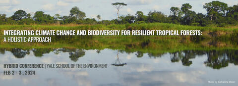 Integrating Climate Change and Biodiversity for Resilient Tropical Forests: A Holistic Approach