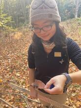 First year MFS Eudora Miao pauses with a frog during field work at Yale-Myers Forest. Photo courtesy of Jess Lloyd '20 MF.