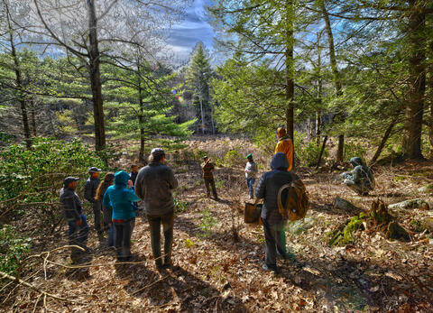 Faculty, staff, and students from The Forest School and Salish Kootenai College tour silvicultural treatments at Yale-Myers Forest. Photo: Mark Conrad